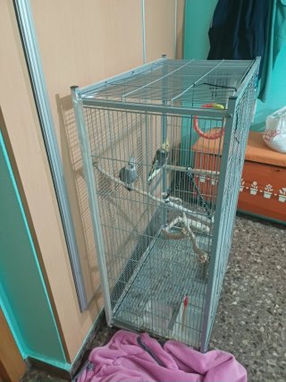 Jaulas para pájaros