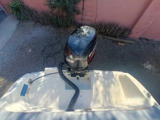 Molinari Sprinter 520 con Suzuki DF90 y remolque