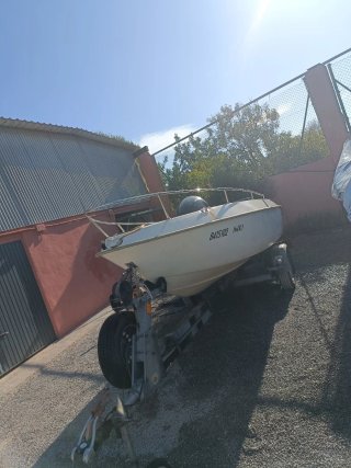 Molinari Sprinter 520 con Suzuki DF90 y remolque