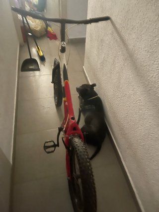 Bicicleta trial monty