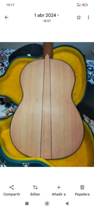 Guitarra Flamenca con Funda