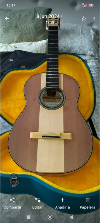 Guitarra Flamenca con Funda