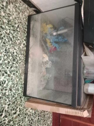 Pecera y adornos de pecera