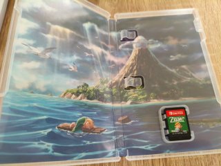The Legend of Zelda Link's Awakening Switch