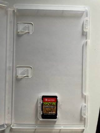 Minecraft Nintendo Switch