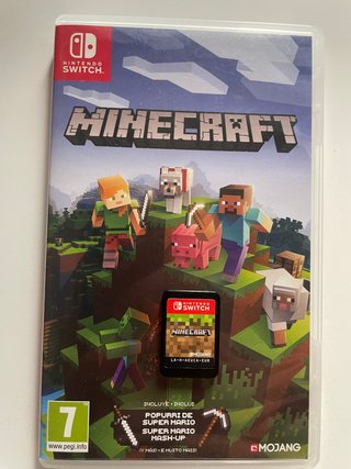Minecraft Nintendo Switch