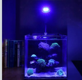 Luce LED Acquario Hygger Clip-On
