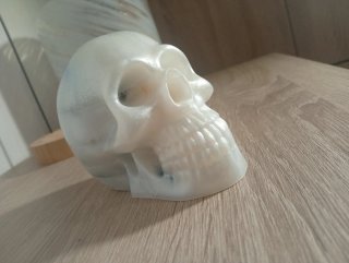 Calavera de Resina Blanco Perlado