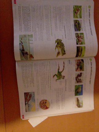 Biología y Geología. 1 Secundaria. Revuela. Cas...