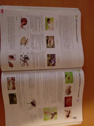 Biología y Geología. 1 Secundaria. Revuela. Cas...