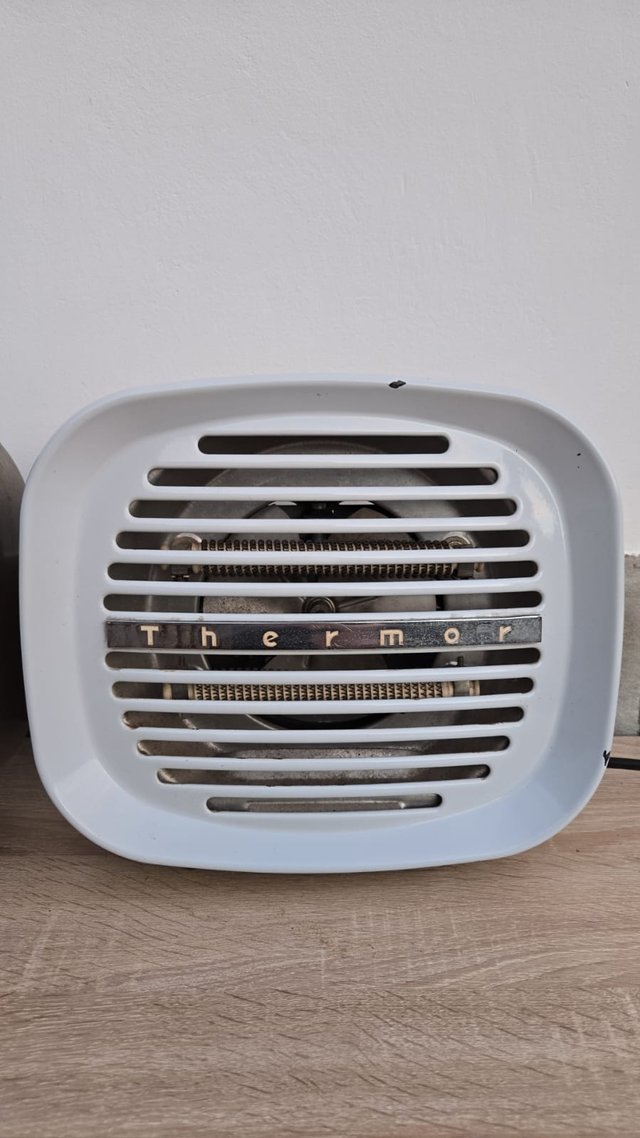 Radiadores calefactores Thermor Beige y Azul 1000w