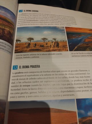 Proyecto: FanFest - Geografía e Historia 1 ESO