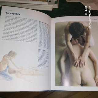 El Libro Del Masaje