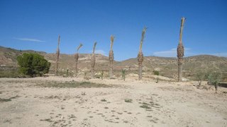 Solar en venta en Abanilla