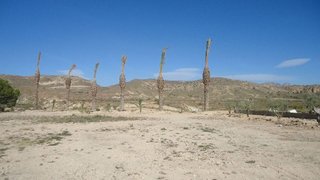 Solar en venta en Abanilla
