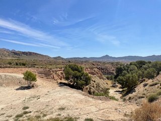 Solar en venta en Abanilla