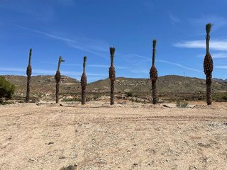 Solar en venta en Abanilla