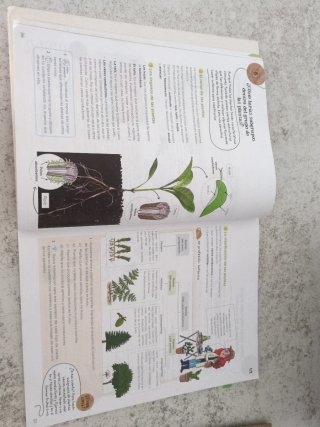 Ciencias de la Naturaleza, 5 Primaria