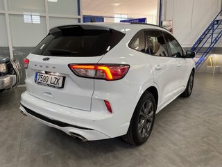 Ford Kuga 2022