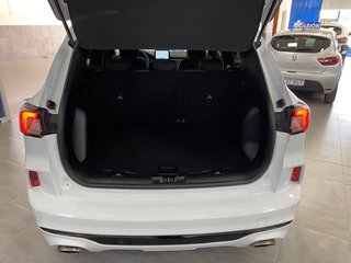 Ford Kuga 2022