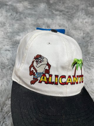Looney Tunes Taz "Alicante" Vintage 1997 Snapback