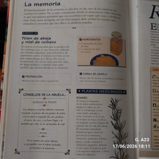 La botica de la abuela los remedios y consejos ...