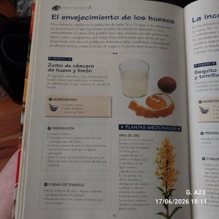 La botica de la abuela los remedios y consejos ...