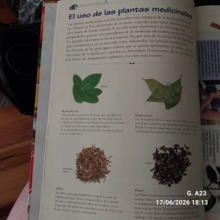 La botica de la abuela los remedios y consejos ...
