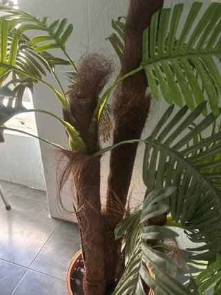 Planta Palmera Artificial Decorativa