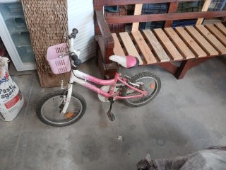 Bicicleta Niña Rosa J-WENTY