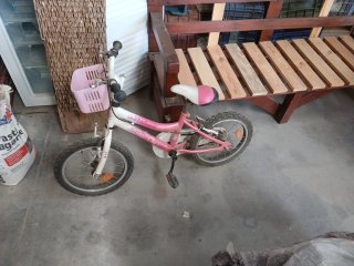 Bicicleta Niña Rosa J-WENTY