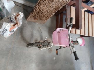 Bicicleta Niña Rosa J-WENTY
