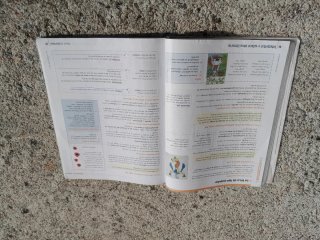 Lengua castellana y literatura