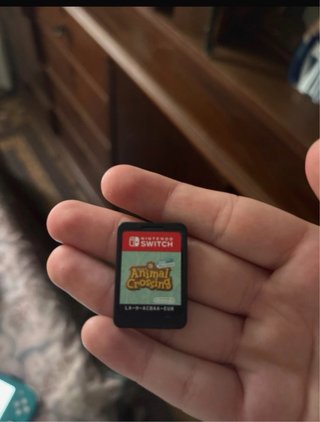 Nintendo Switch Lite + Animal Crossing