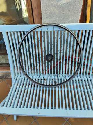 Rueda delantera Coda Expert 26 pulgadas