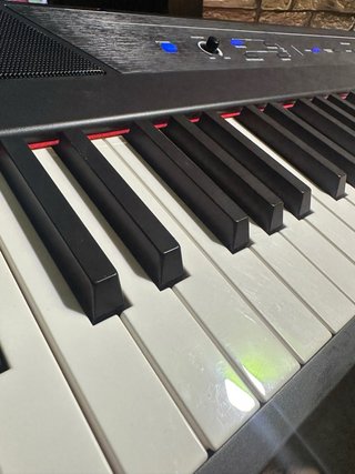 Alesis RECITAL Teclado Piano 88 tecl contrapesadas