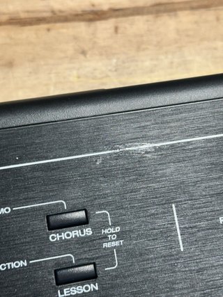 Alesis RECITAL Teclado Piano 88 tecl contrapesadas