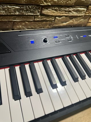 Alesis RECITAL Teclado Piano 88 tecl contrapesadas