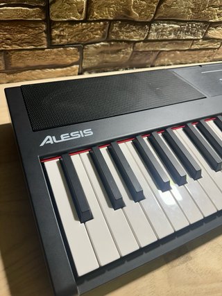 Alesis RECITAL Teclado Piano 88 tecl contrapesadas