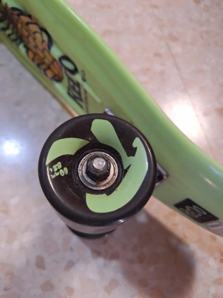 Skate Redo Piñas