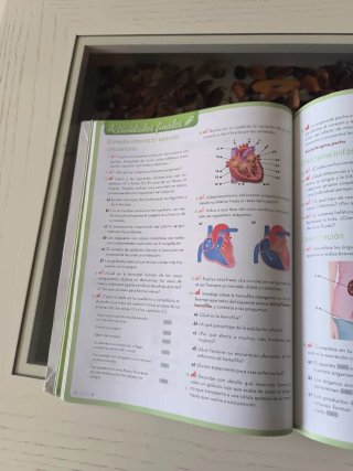 Biología y Geología, 3o ESO.
