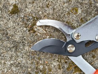 Forbici da potatura Felco