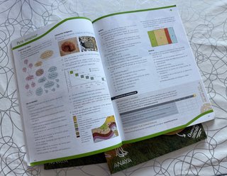 Biología y Geología, 4 ESO, 978-84-143-2559-9