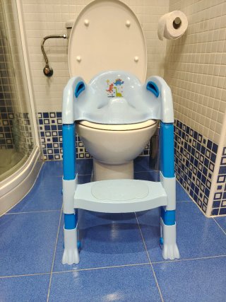 Asiento reductor WC infantil con escalera