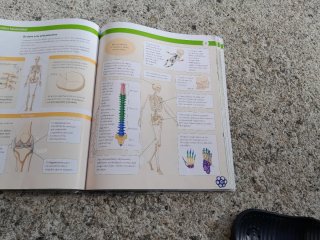 BIOLOXIA E XEOLOXIA 3 ESO CONTRUINDO MUNDOS