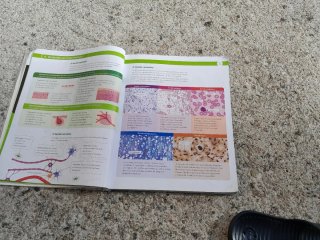 BIOLOXIA E XEOLOXIA 3 ESO CONTRUINDO MUNDOS