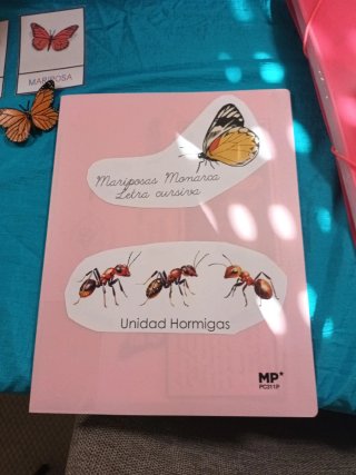 Tarjetas Montessori Mariposa
