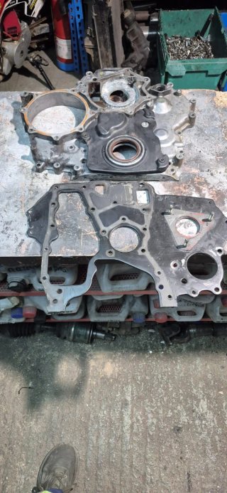 Tapa distribución Terrano 2 125cv