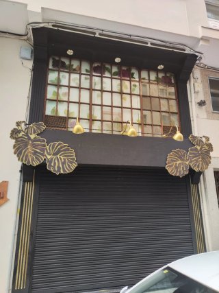 Pintor profesional interior/exterior