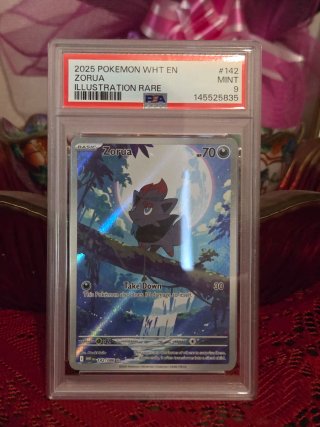 Card Pokemon Zorua 142 PSA 9 english  White Flare